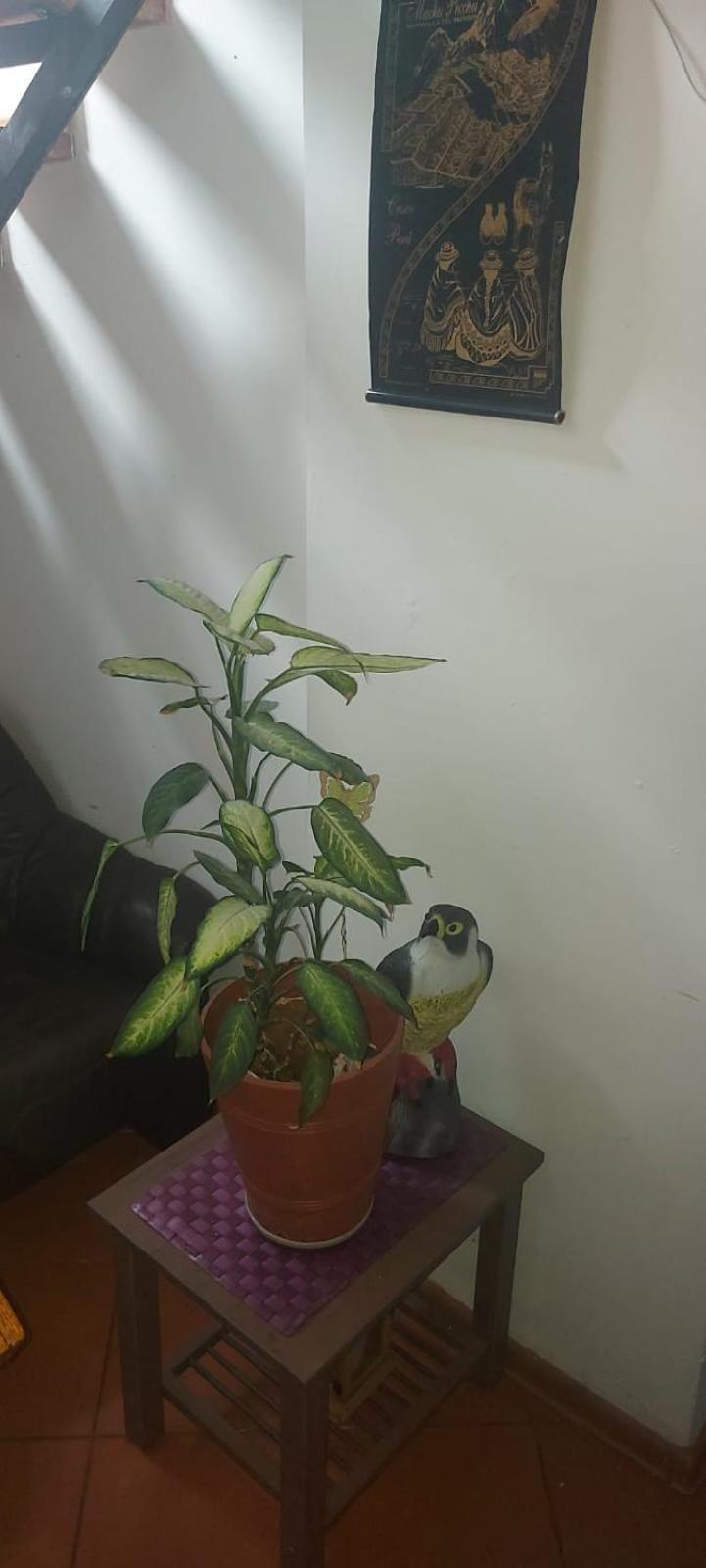 Hostel 波兹南 外观 照片